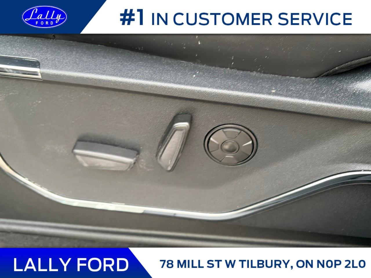 2026 Ford F-250 Super Duty SRW PLATINUM 4WD CREW CAB 6.75' BOX Photo