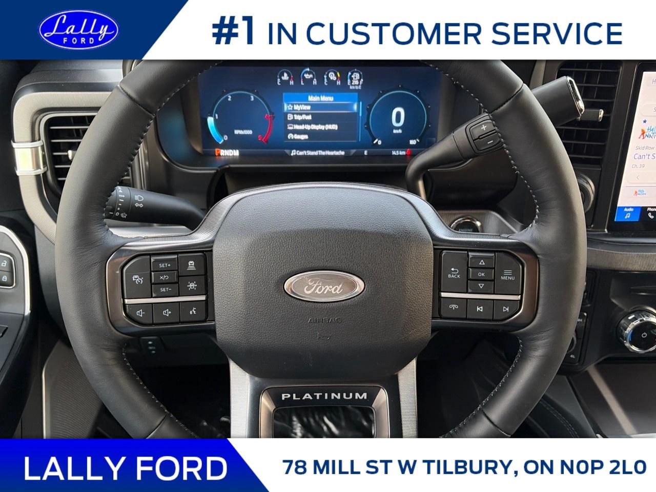 2026 Ford F-250 Super Duty SRW PLATINUM 4WD CREW CAB 6.75' BOX Photo