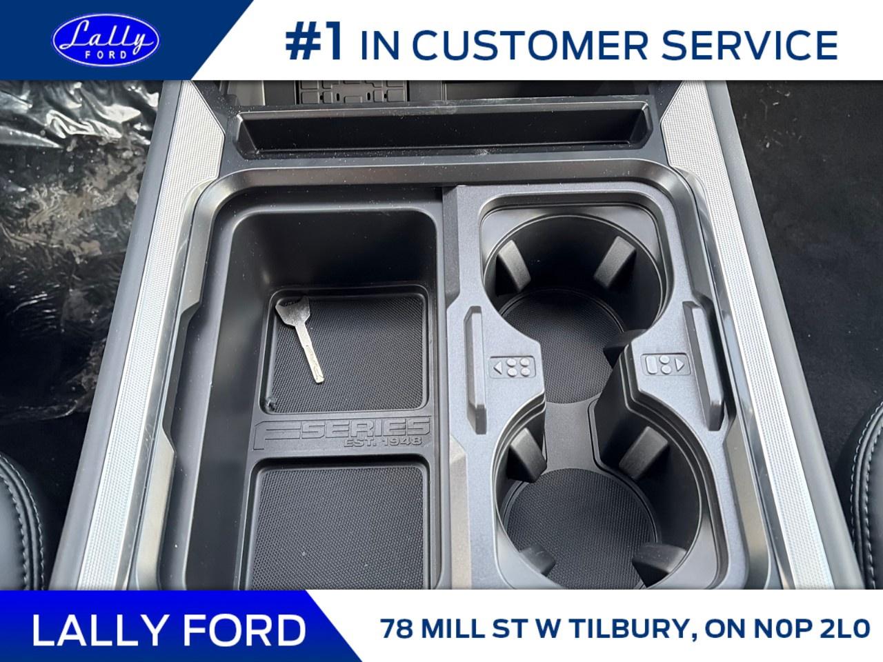 2026 Ford F-250 Super Duty SRW PLATINUM 4WD CREW CAB 6.75' BOX Photo