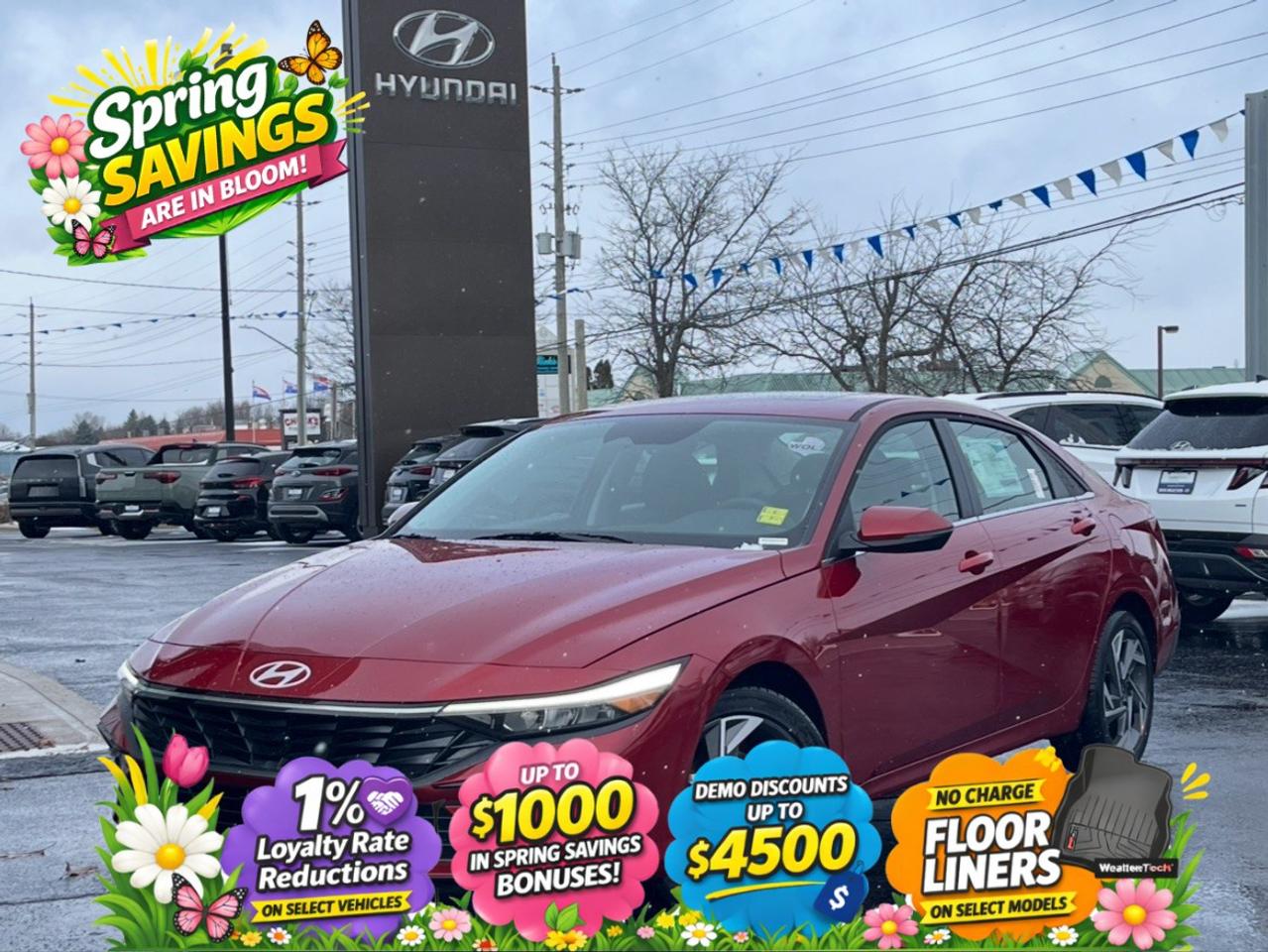 2026 Hyundai Elantra Hybrid Luxury Sedan Photo