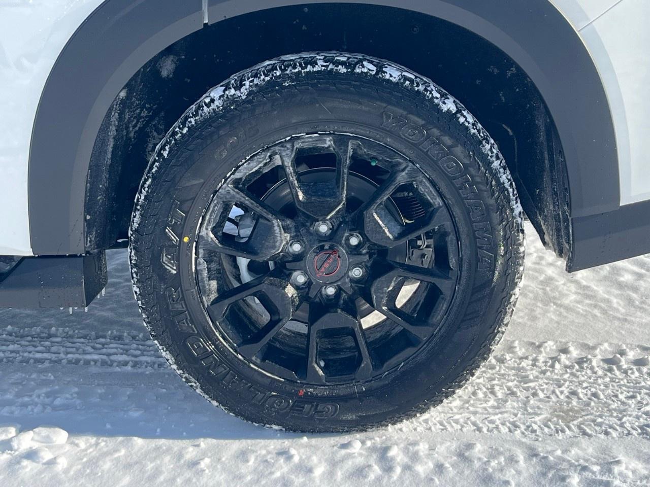 2026 Nissan Armada 4x4 PRO-4X Photo