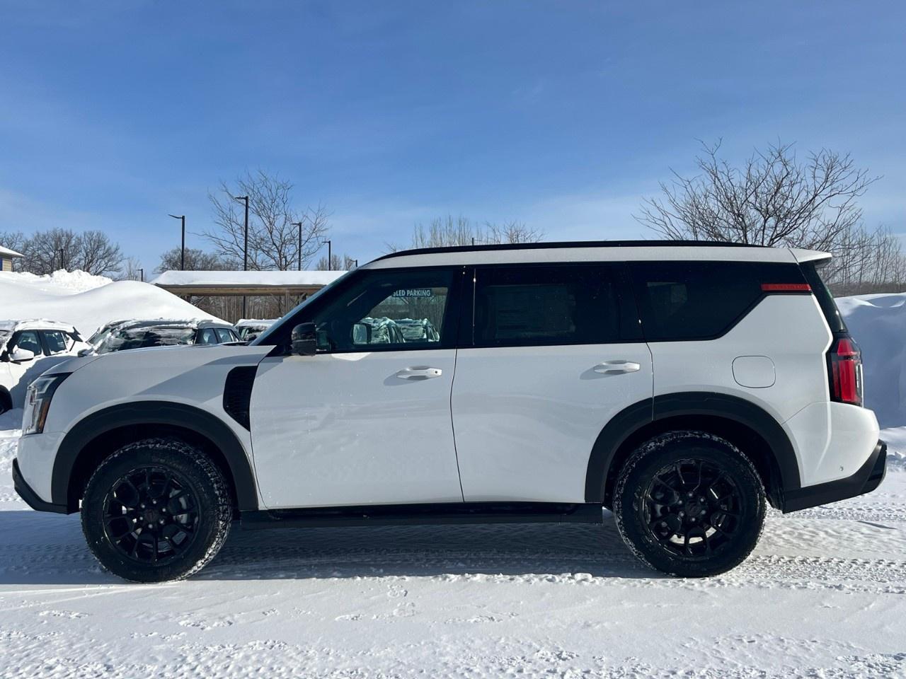 2026 Nissan Armada 4x4 PRO-4X Photo