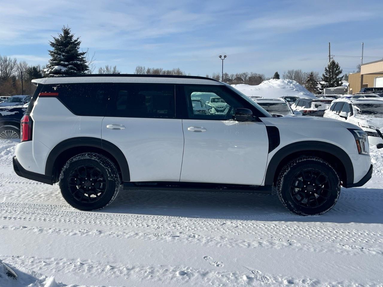 2026 Nissan Armada 4x4 PRO-4X Photo