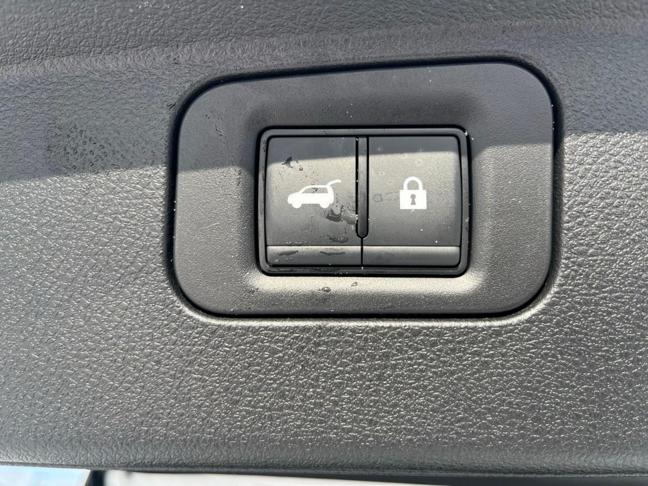 2026 Nissan Armada 4x4 PRO-4X Photo