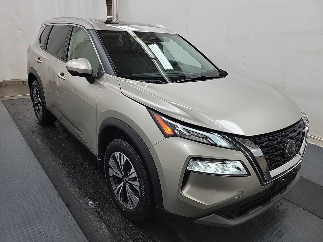 2023 Nissan Rogue SV MOONROOF Photo0