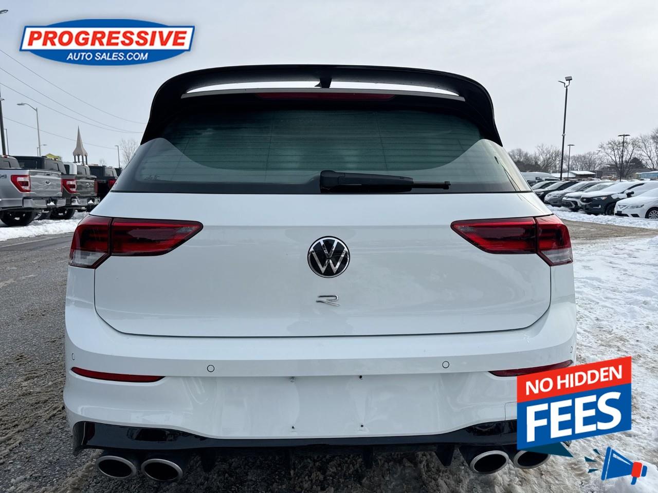 2024 Volkswagen Golf R Photo