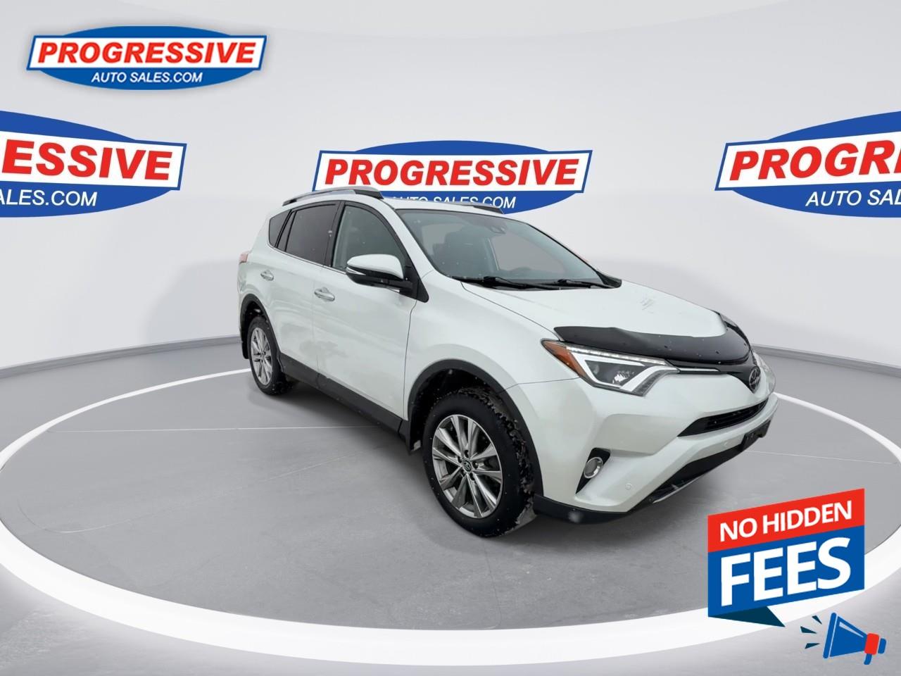 2018 Toyota RAV4 LIMITED  Photo
