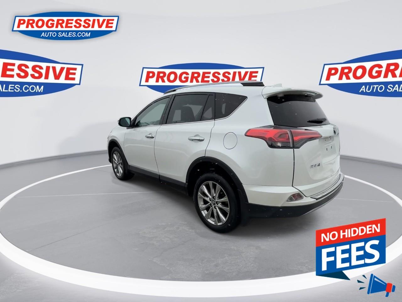 2018 Toyota RAV4 LIMITED  Photo