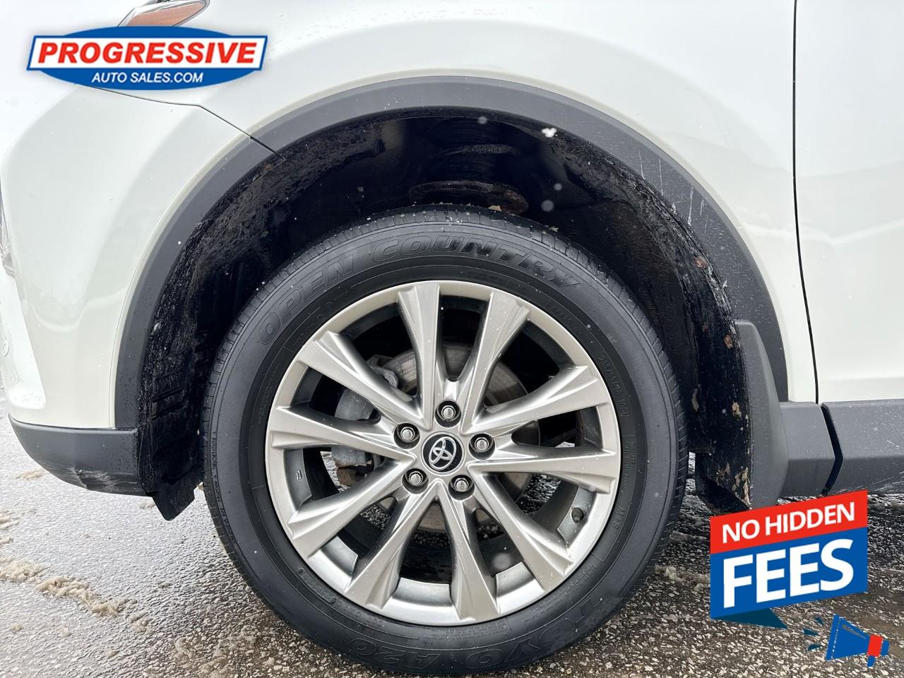 2018 Toyota RAV4 LIMITED  Photo