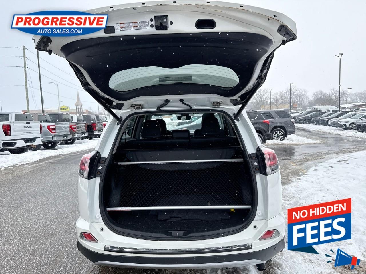 2018 Toyota RAV4 LIMITED  Photo