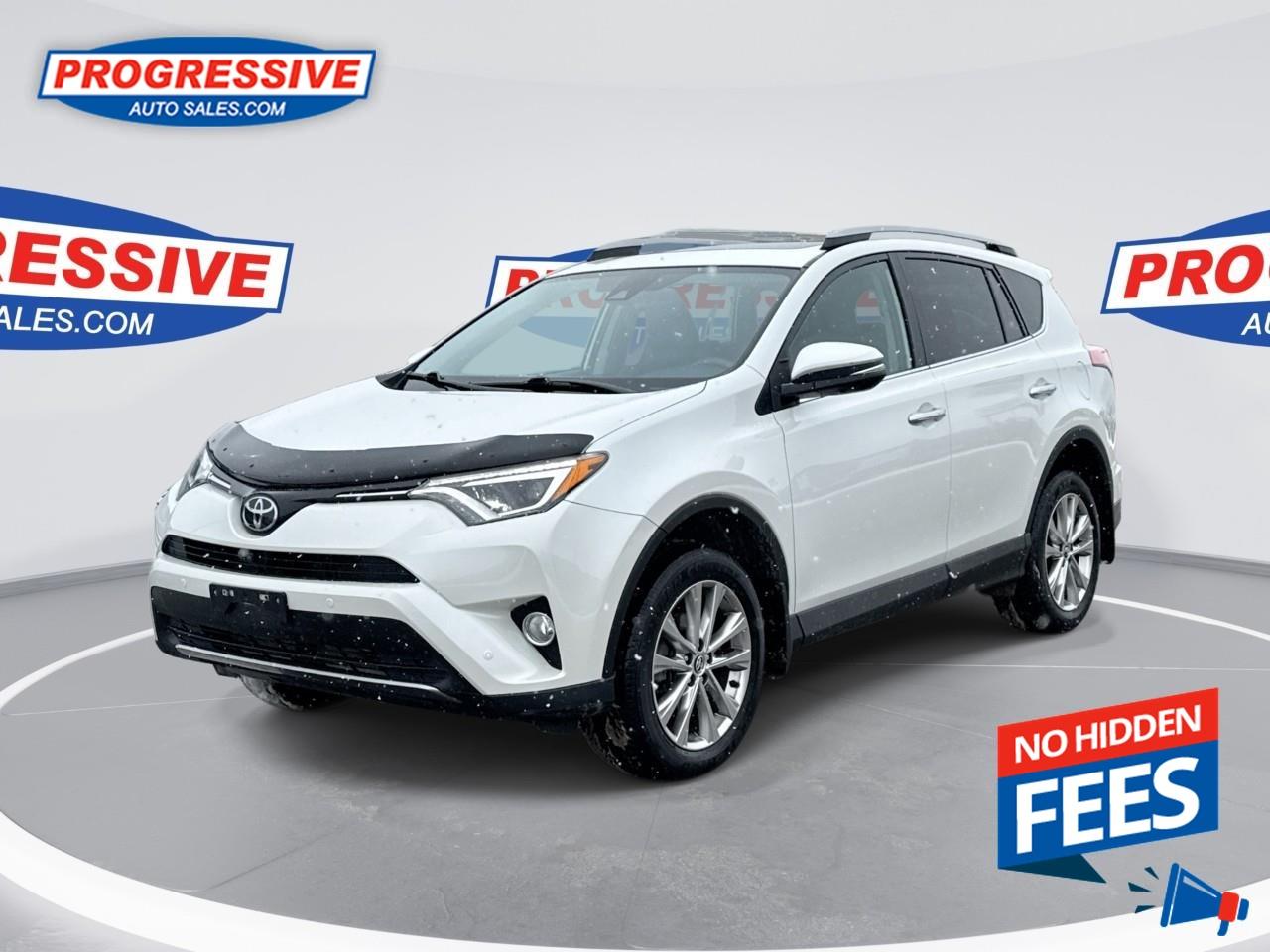 2018 Toyota RAV4 LIMITED  Photo