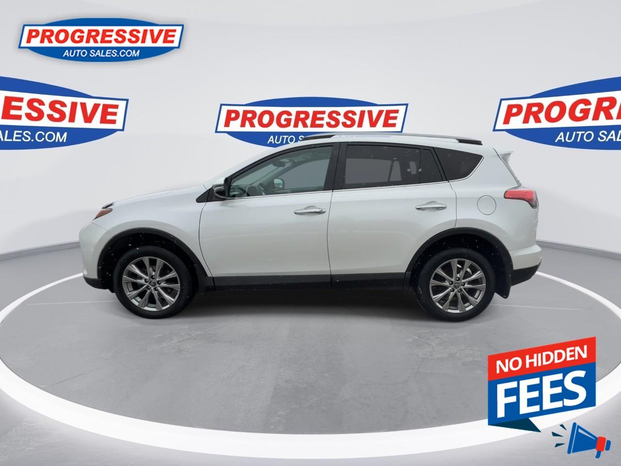 2018 Toyota RAV4 LIMITED  Photo