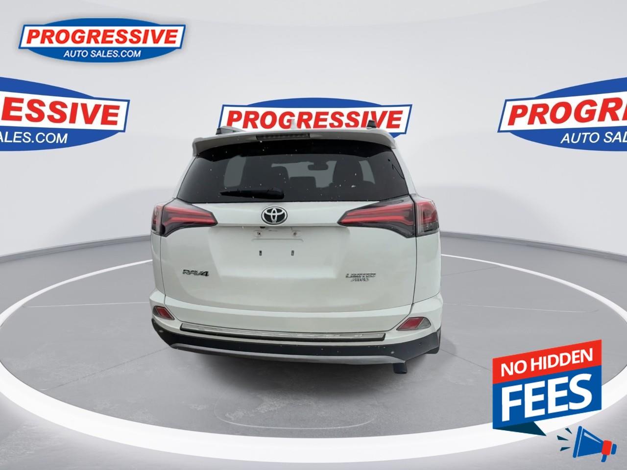 2018 Toyota RAV4 LIMITED  Photo