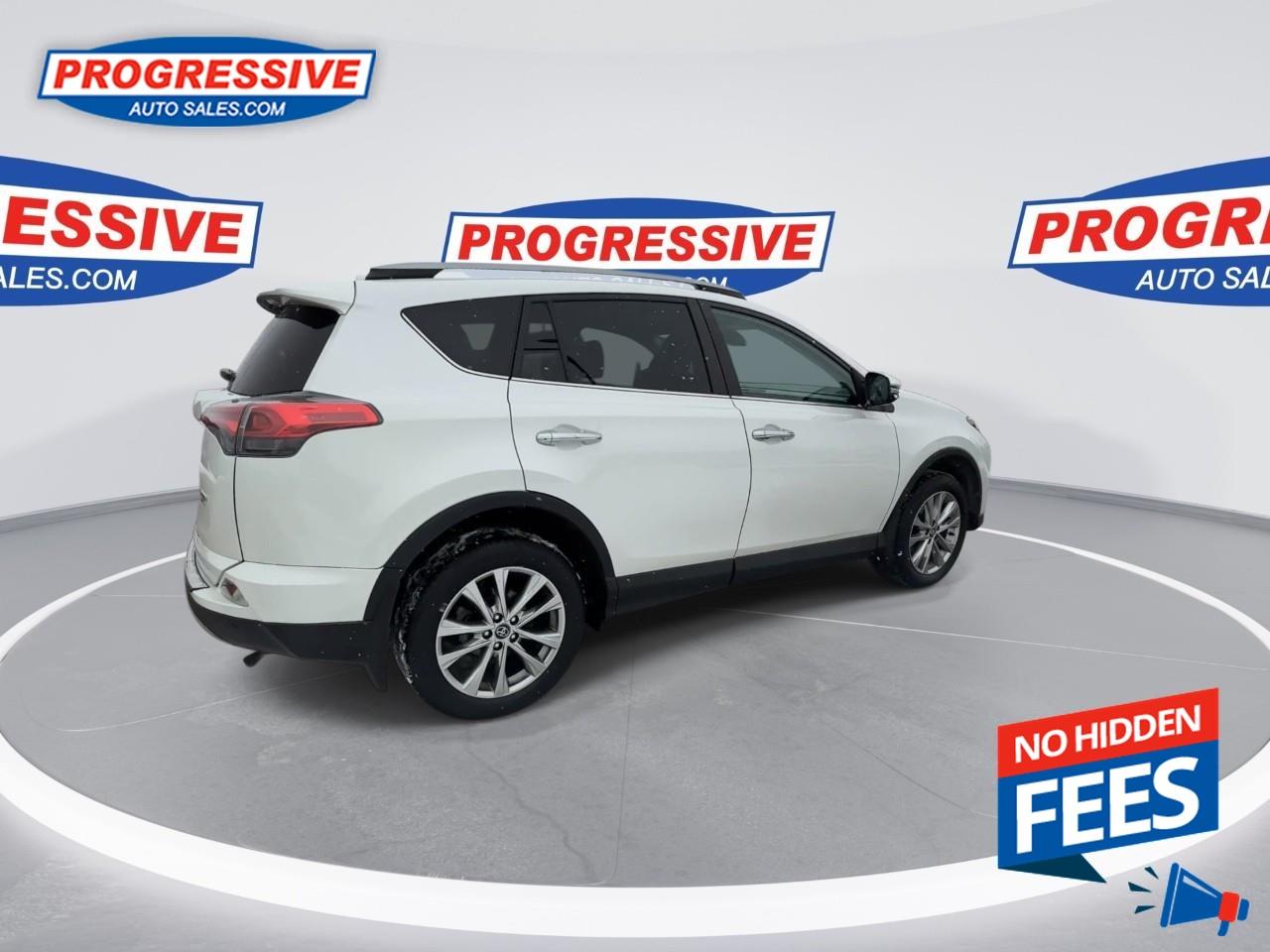 2018 Toyota RAV4 LIMITED  Photo