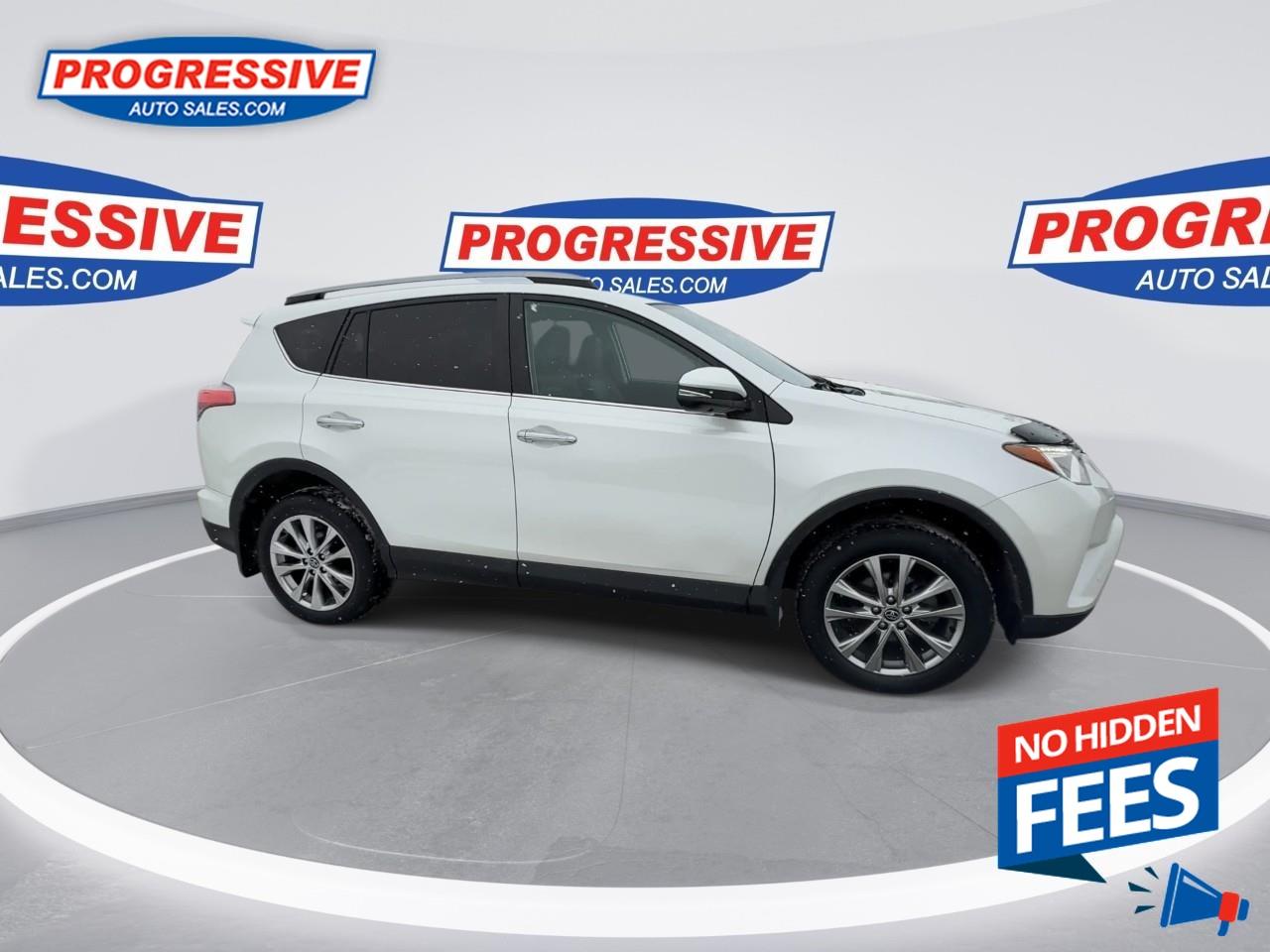2018 Toyota RAV4 LIMITED  Photo