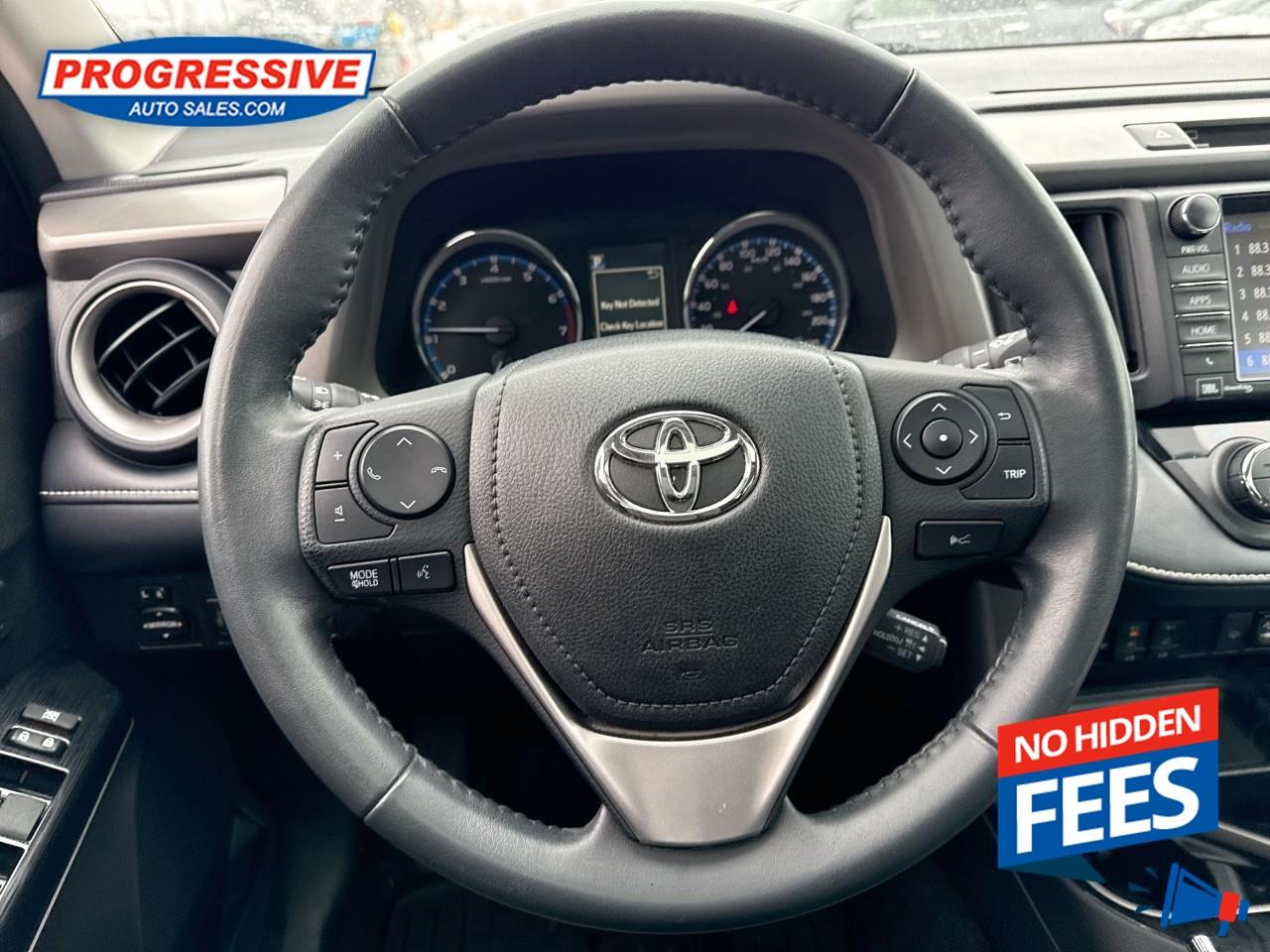 2018 Toyota RAV4 LIMITED  Photo