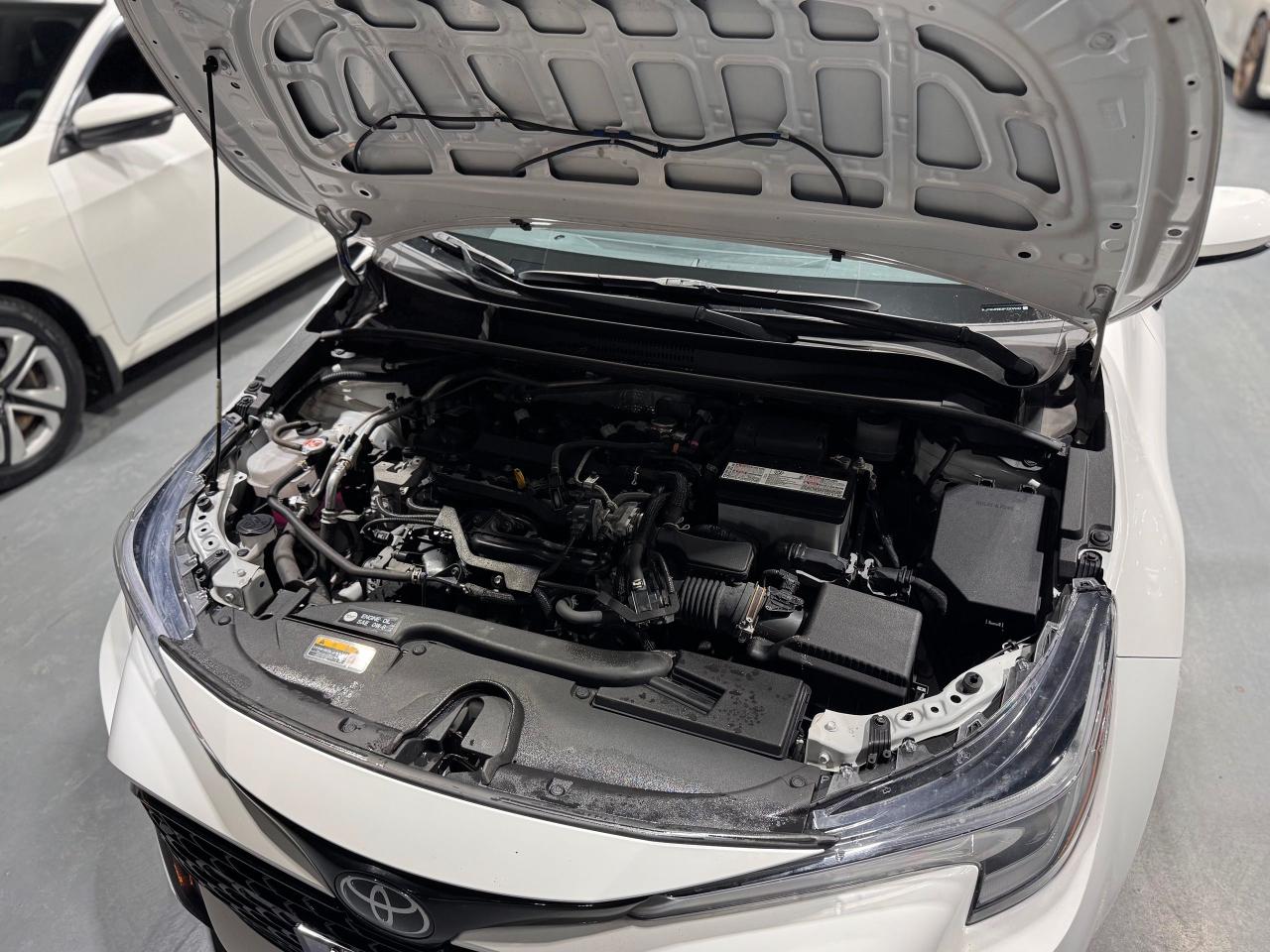 2023 Toyota Corolla CVT Photo