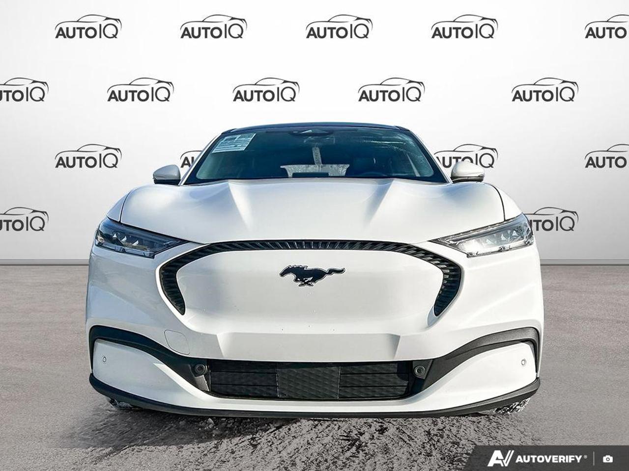 2021 Ford Mustang Mach-E Select APPEARENCE PACKAGE CERTIFIED Photo