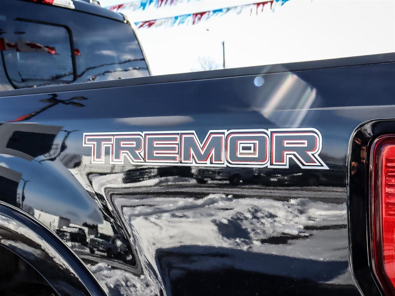 2022 Ford F-250 Platinum | Tremor Off-Road Pkg. | Roof | Adaptive Cruise Control | Diesel | Photo