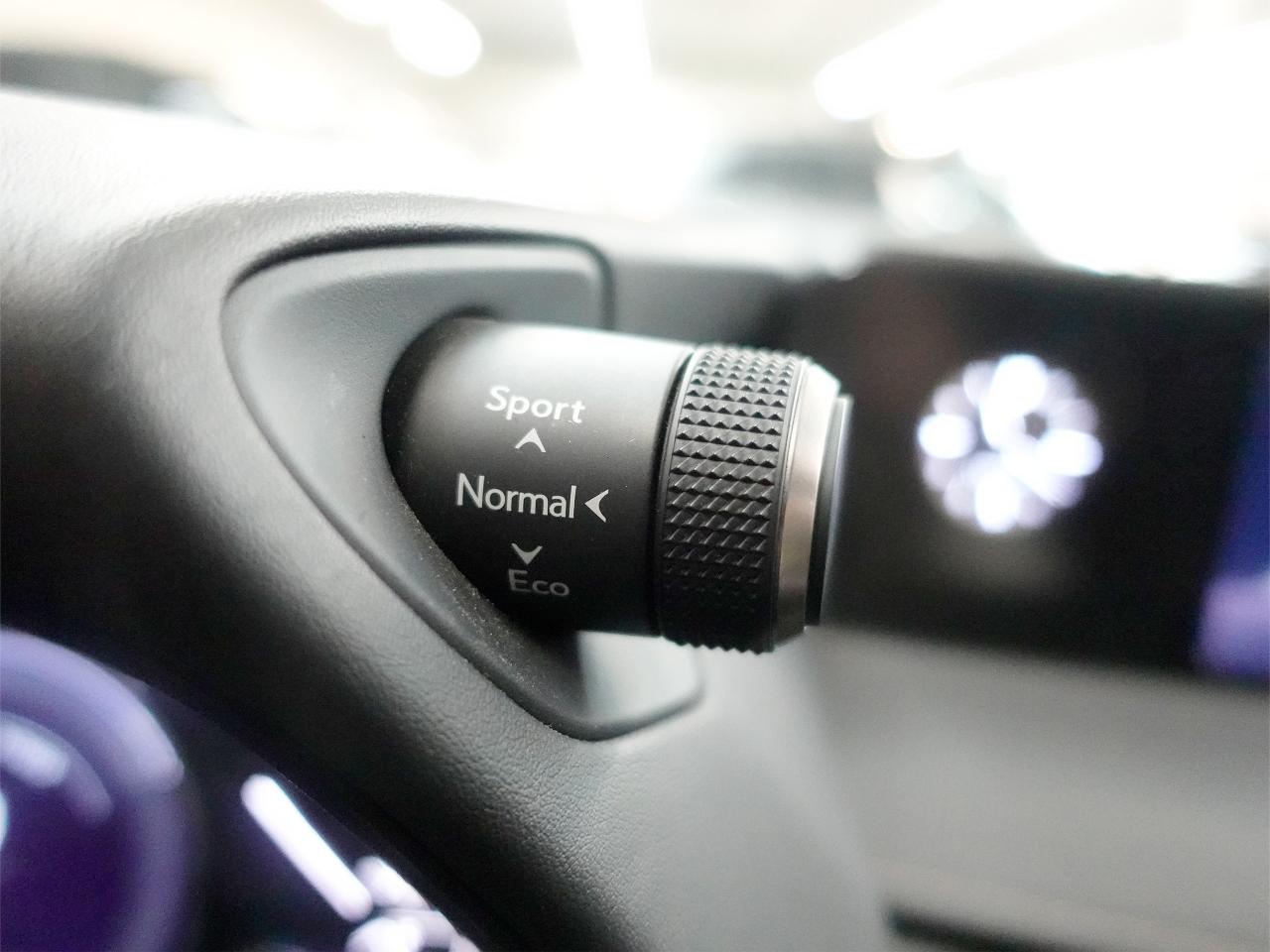 2021 Lexus UX 250 HYBRID AWD | Leather | Sunroof | BSM | CarPlay Photo