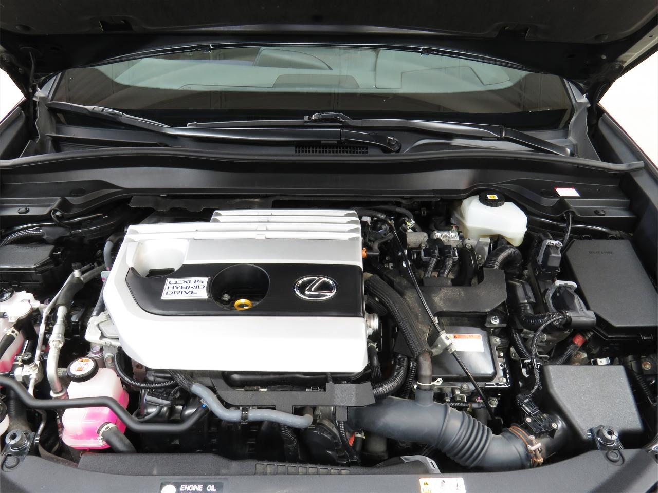 2021 Lexus UX 250 HYBRID AWD | Leather | Sunroof | BSM | CarPlay Photo