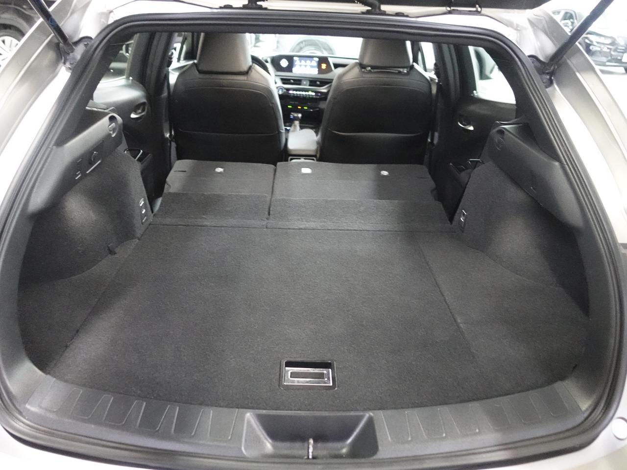 2021 Lexus UX 250 HYBRID AWD | Leather | Sunroof | BSM | CarPlay