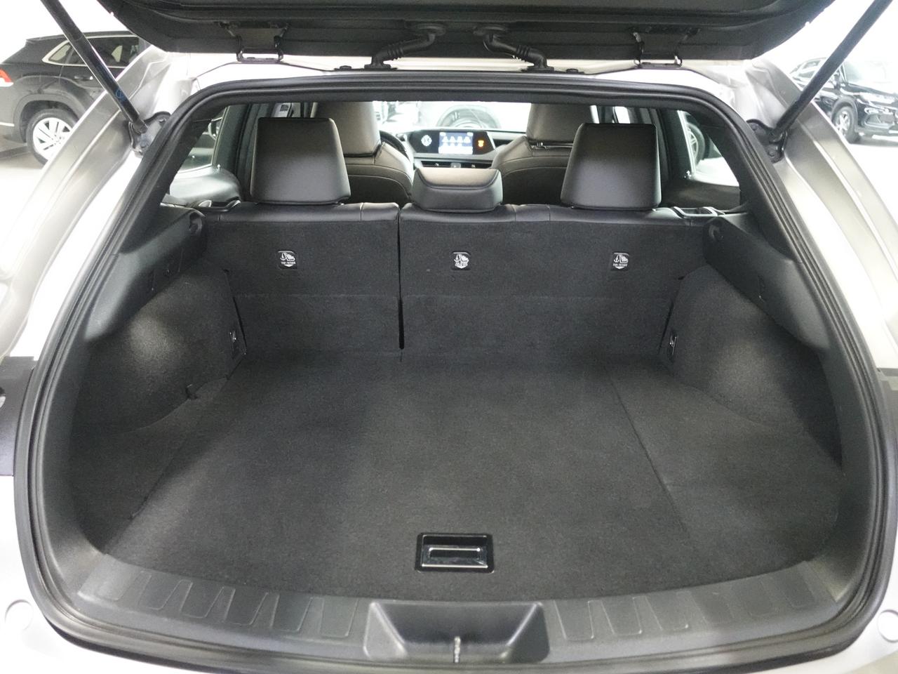 2021 Lexus UX 250 HYBRID AWD | Leather | Sunroof | BSM | CarPlay