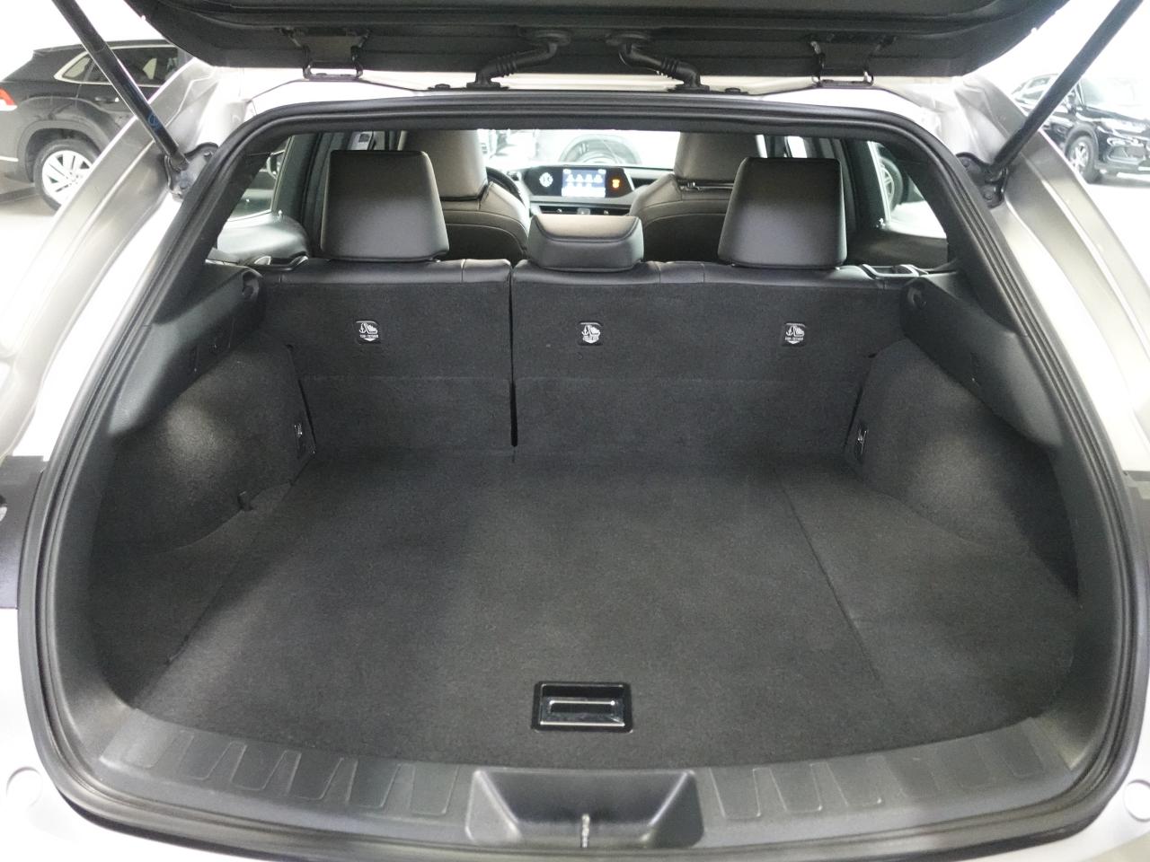 2021 Lexus UX 250 HYBRID AWD | Leather | Sunroof | BSM | CarPlay Photo