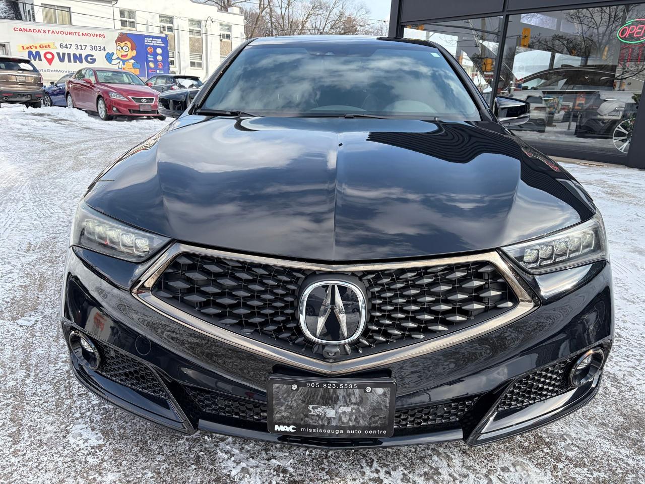 2019 Acura TLX Elite Photo
