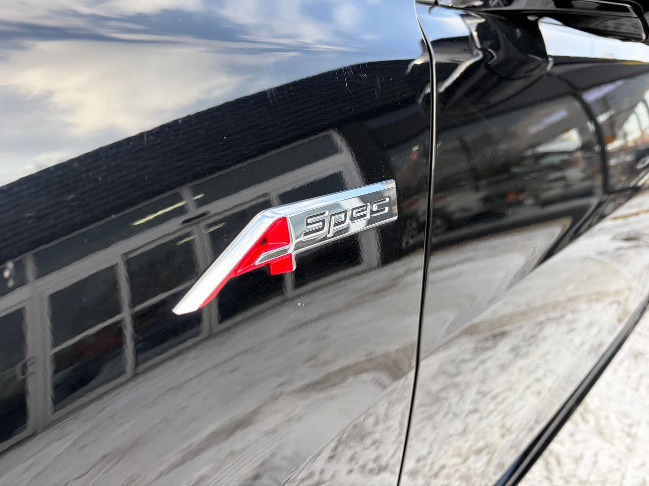 2019 Acura TLX Elite Photo