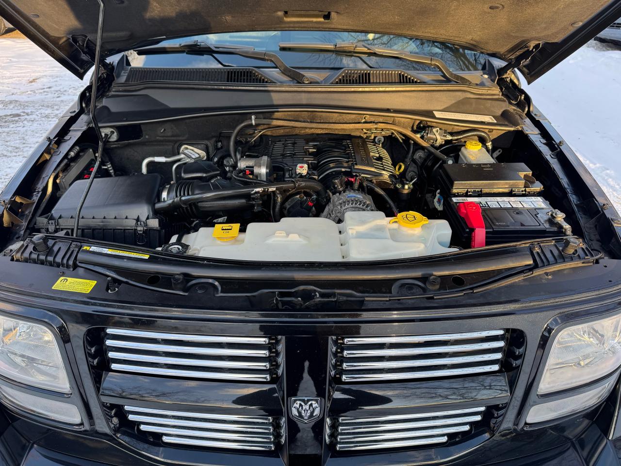 2010 Dodge Nitro SXT Photo