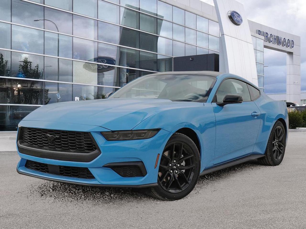 Experience the future of American muscle with the 2025 Ford Mustang! This sleek sedan combines classic performance with cutting-edge technology for an unparalleled driving experience.

- Advanced 2.3L 4-cylinder engine for optimal power and efficiency
- Rear-wheel drive with mechanical limited slip differential for superior handling
- FordPass Connect mobile hotspot for seamless connectivity on the go
- Voice-activated dual-zone climate control for personalized comfort
- Collision mitigation and cross-traffic alert systems for enhanced safety
- Autolamp LED headlights with auto high-beam for improved visibility
- Electric power-assist speed-sensing steering for precise control

Dont miss your chance to own this brand-new Mustang with only 143 km on the odometer. Visit Birchwood Ford today to schedule a test drive and experience the thrill for yourself. Our team is ready to answer any questions and guide you through the purchase process. Reserve your 2025 Ford Mustang now and be among the first to hit the road in this iconic American classic!
Birchwood Ford is your choice for New Ford vehicles in Winnipeg. 

At Birchwood Ford, we hold ourselves to the highest standard. Our number one focus is customer satisfaction which has awarded us the Ford of Canadas Presidents Award for 5 consecutive years. This honour is presented to Ford dealers that have proven outstanding results in Sales and Customer Service Excellence.

Are you a newcomer to Canada, recent graduate, first time car buyer or physically challenged? Ask us about our exclusive rebates and how they may apply to you.
 
Interested in seeing/hearing more? Book a test drive or give us a call at (204) 661-9555 and we can help you with whatever you need!

Dealer permit #4454
Dealer permit #4454
