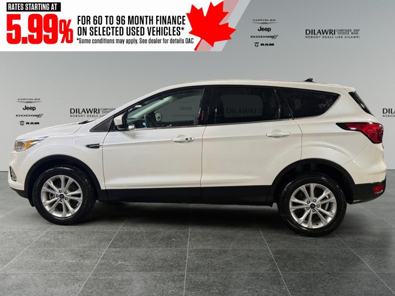 2019 Ford Escape SE 4WD Photo