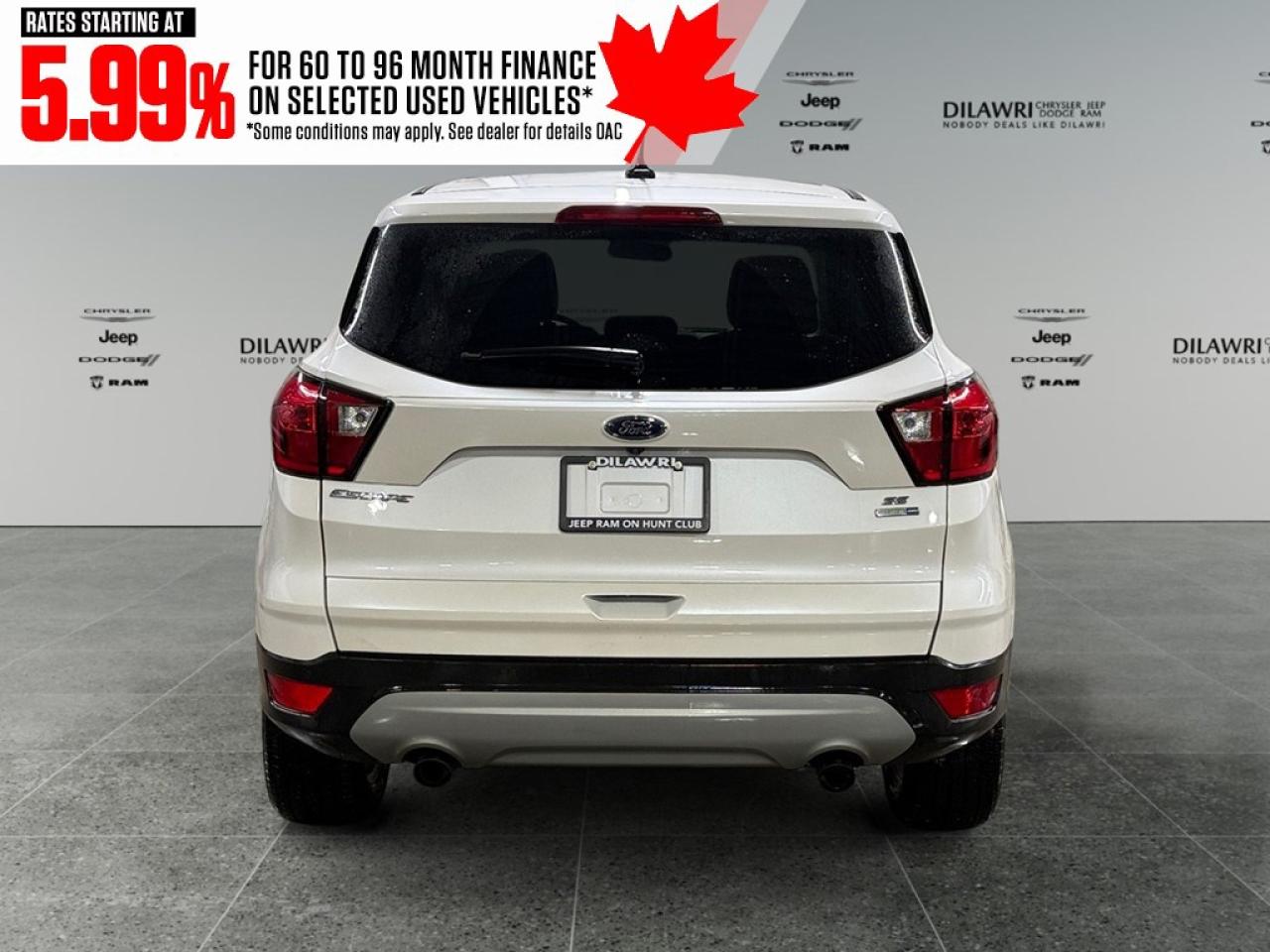 2019 Ford Escape SE 4WD Photo