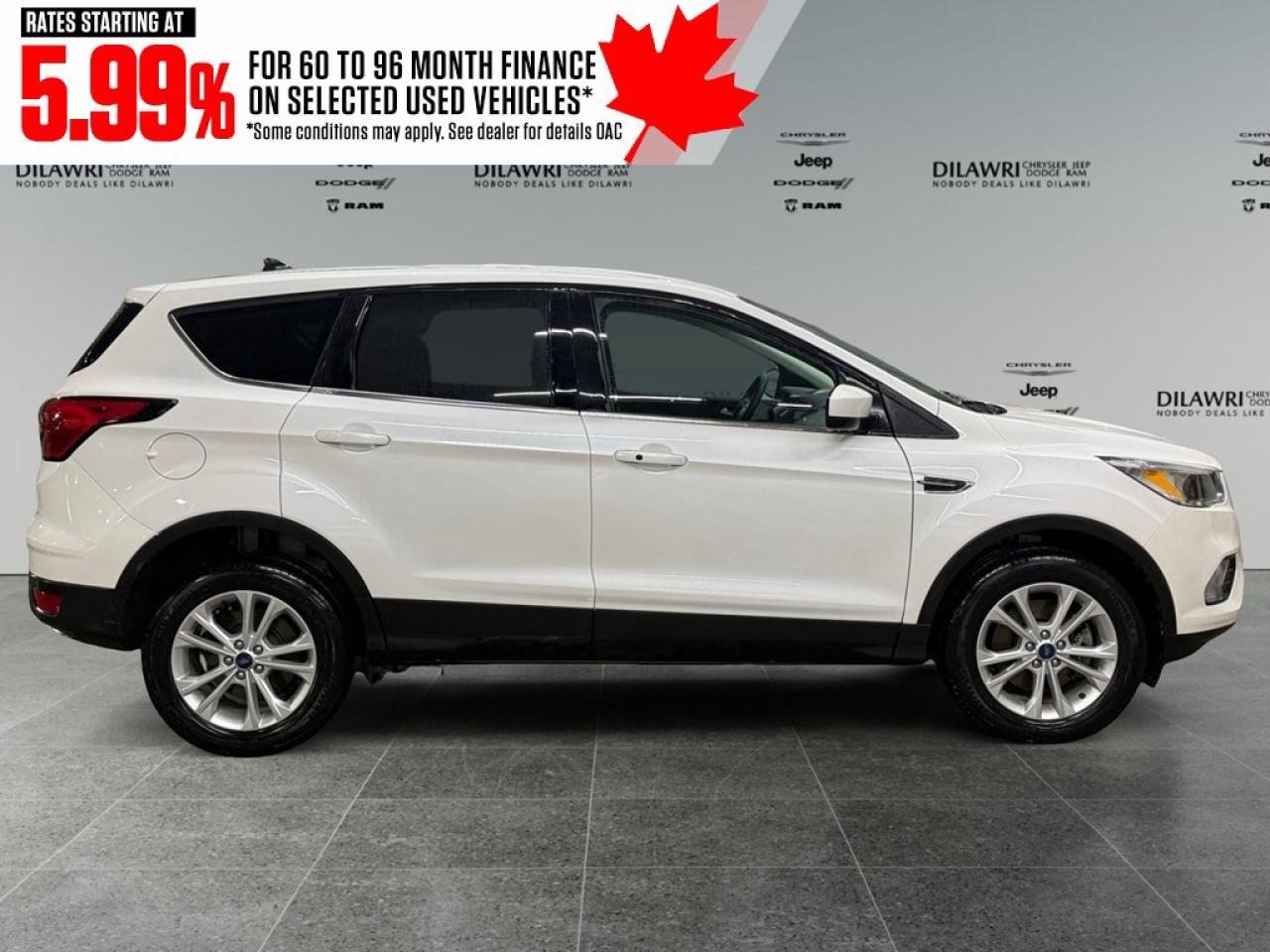 2019 Ford Escape SE 4WD Photo