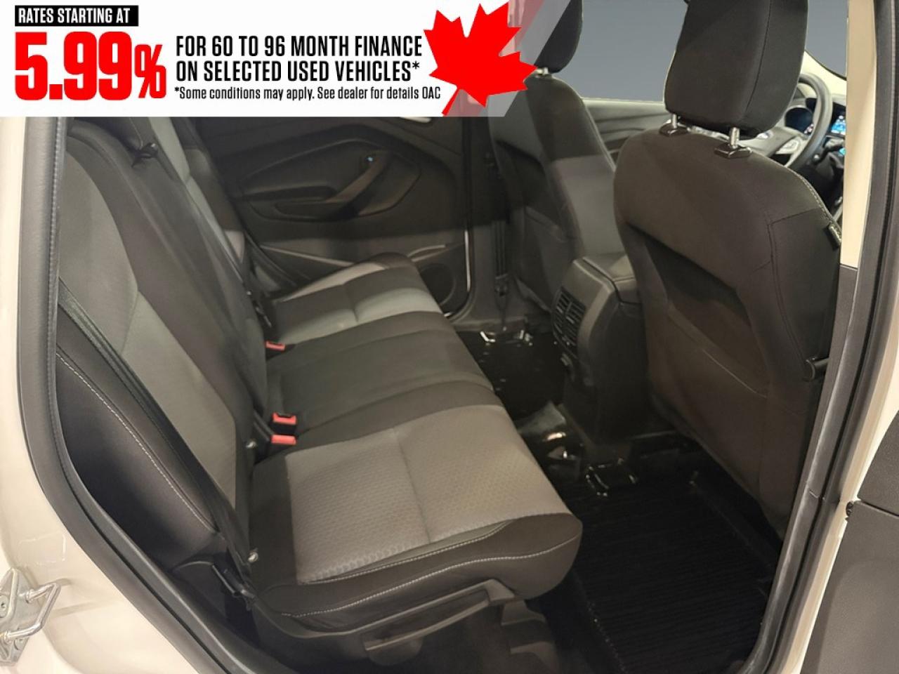 2019 Ford Escape SE 4WD Photo