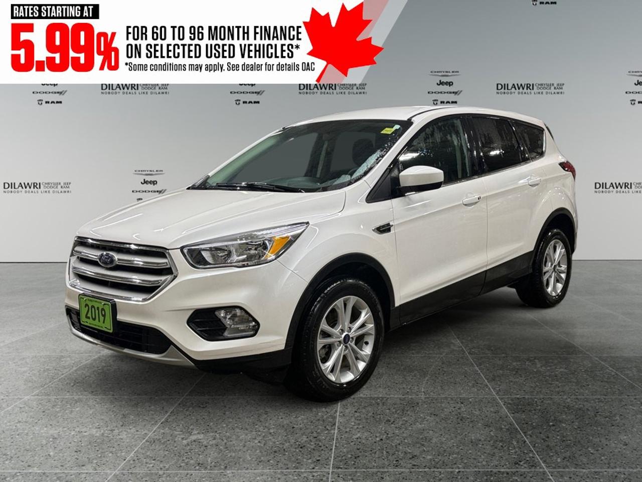 2019 Ford Escape SE 4WD Photo0