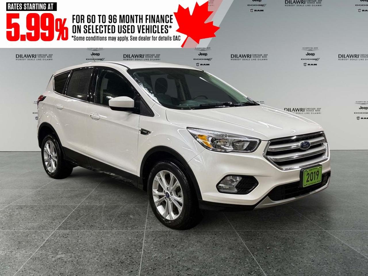 2019 Ford Escape SE 4WD Photo