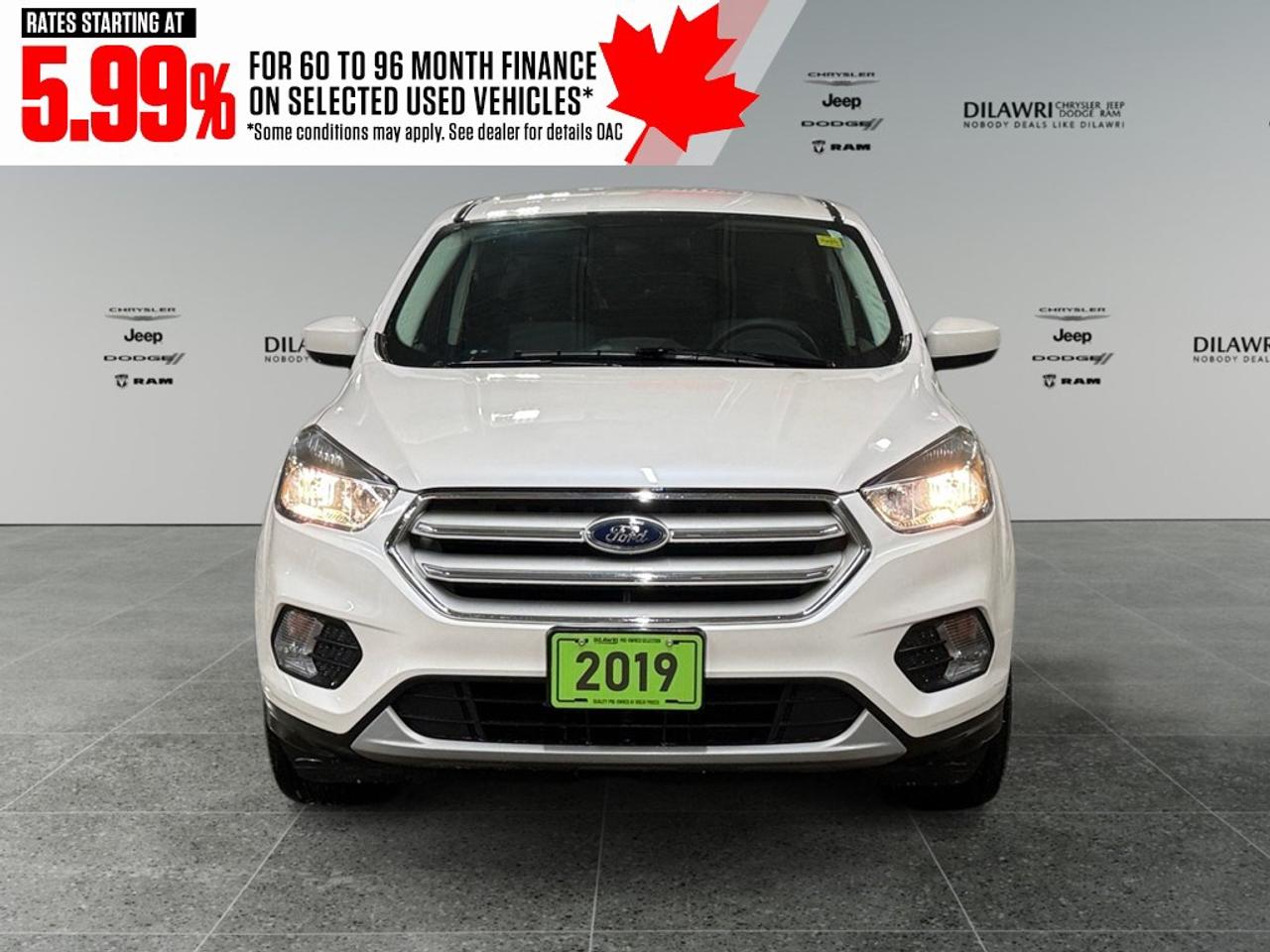 2019 Ford Escape SE 4WD Photo