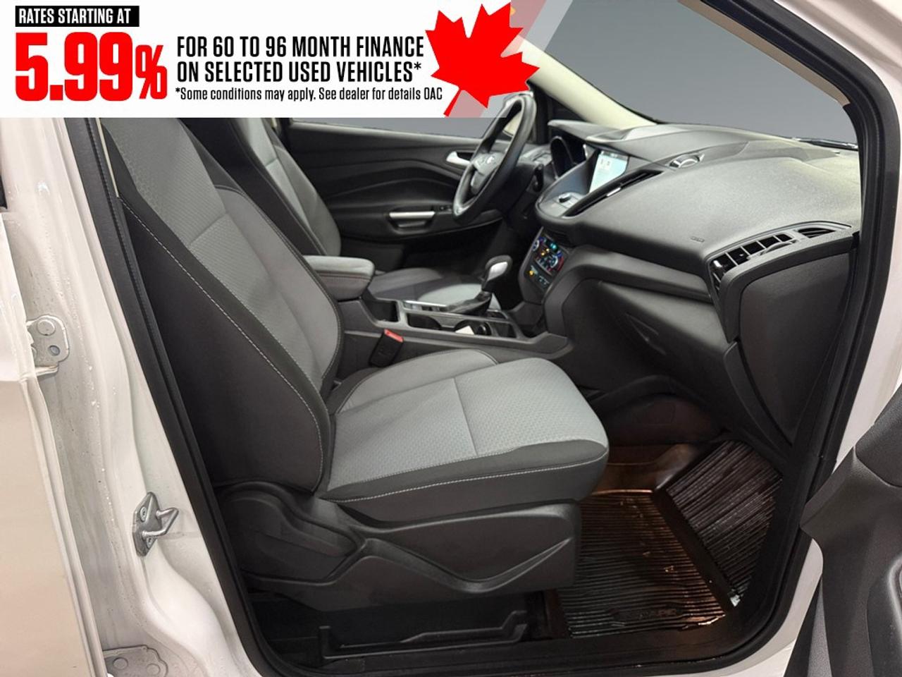 2019 Ford Escape SE 4WD Photo