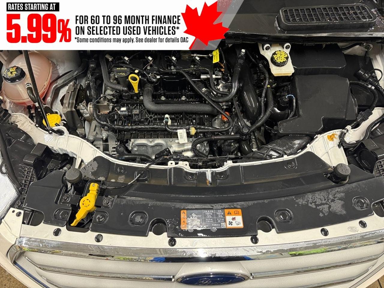 2019 Ford Escape SE 4WD Photo