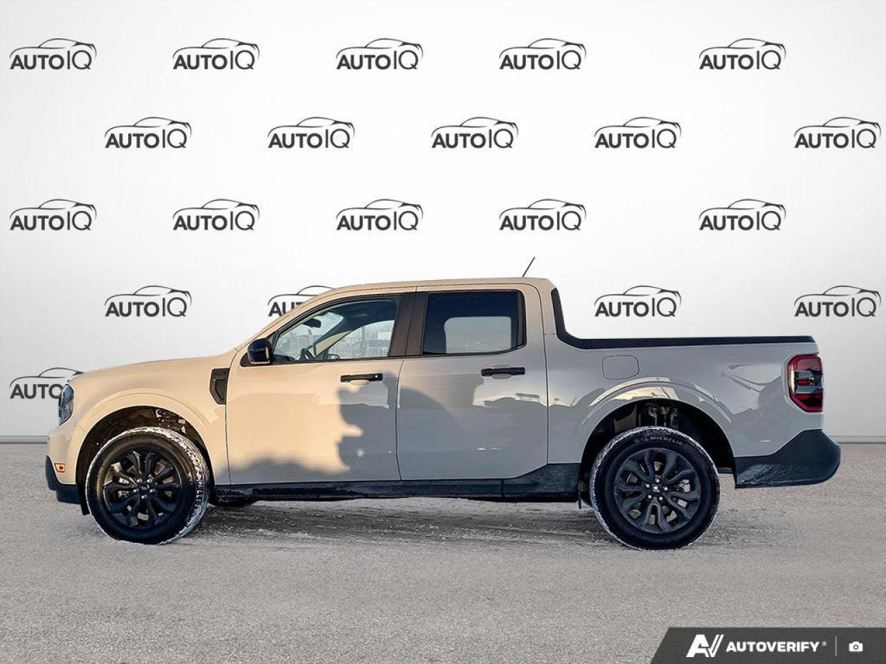 2024 Ford Maverick XLT Photo2