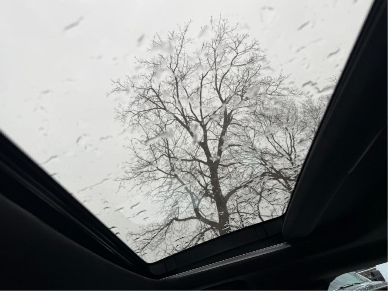 2021 Acura TLX A-Spec | Clean Carfax Photo