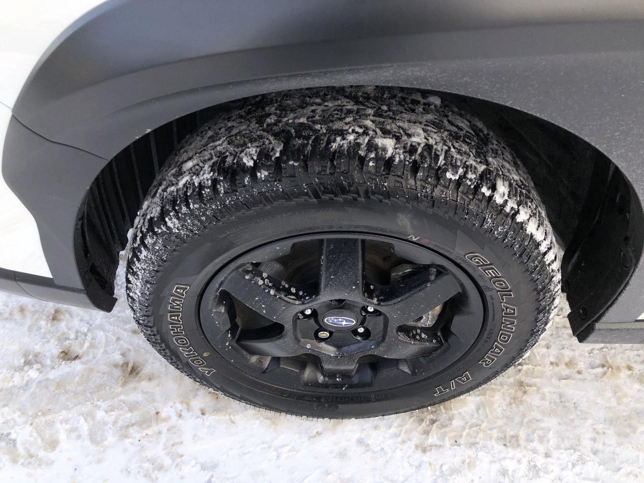 2025 Subaru Outback Wilderness WILDERNESS!!  260HP, ALL WEATHER SURFAC Photo