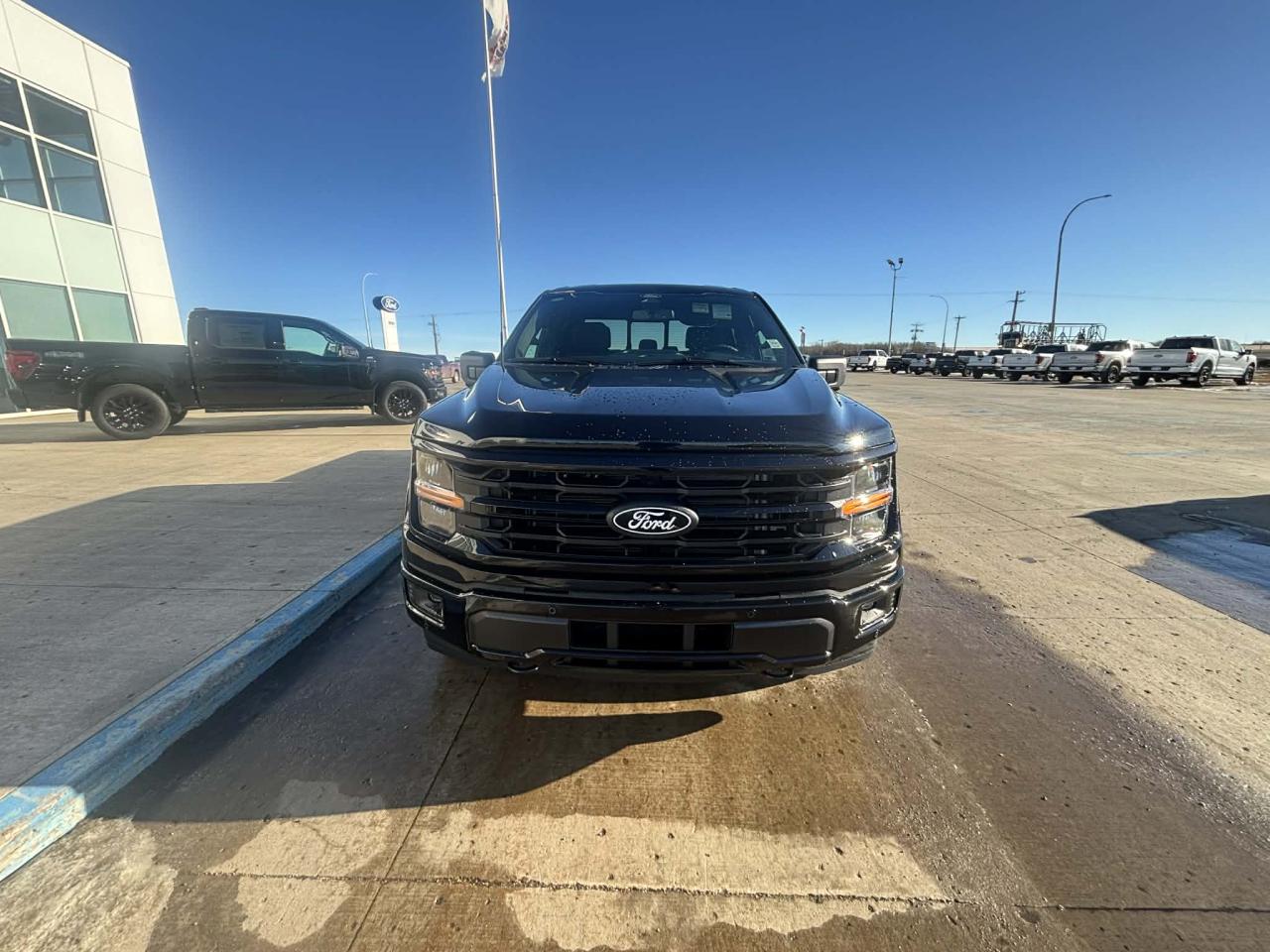 2025 Ford F-150 XLT 4WD SuperCrew 5.5' Box Photo1