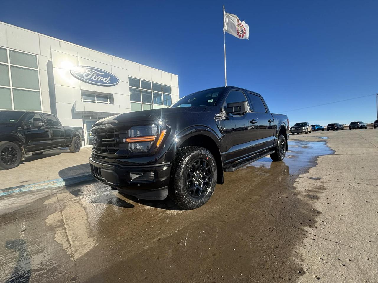 2025 Ford F-150 XLT 4WD SuperCrew 5.5' Box Photo0
