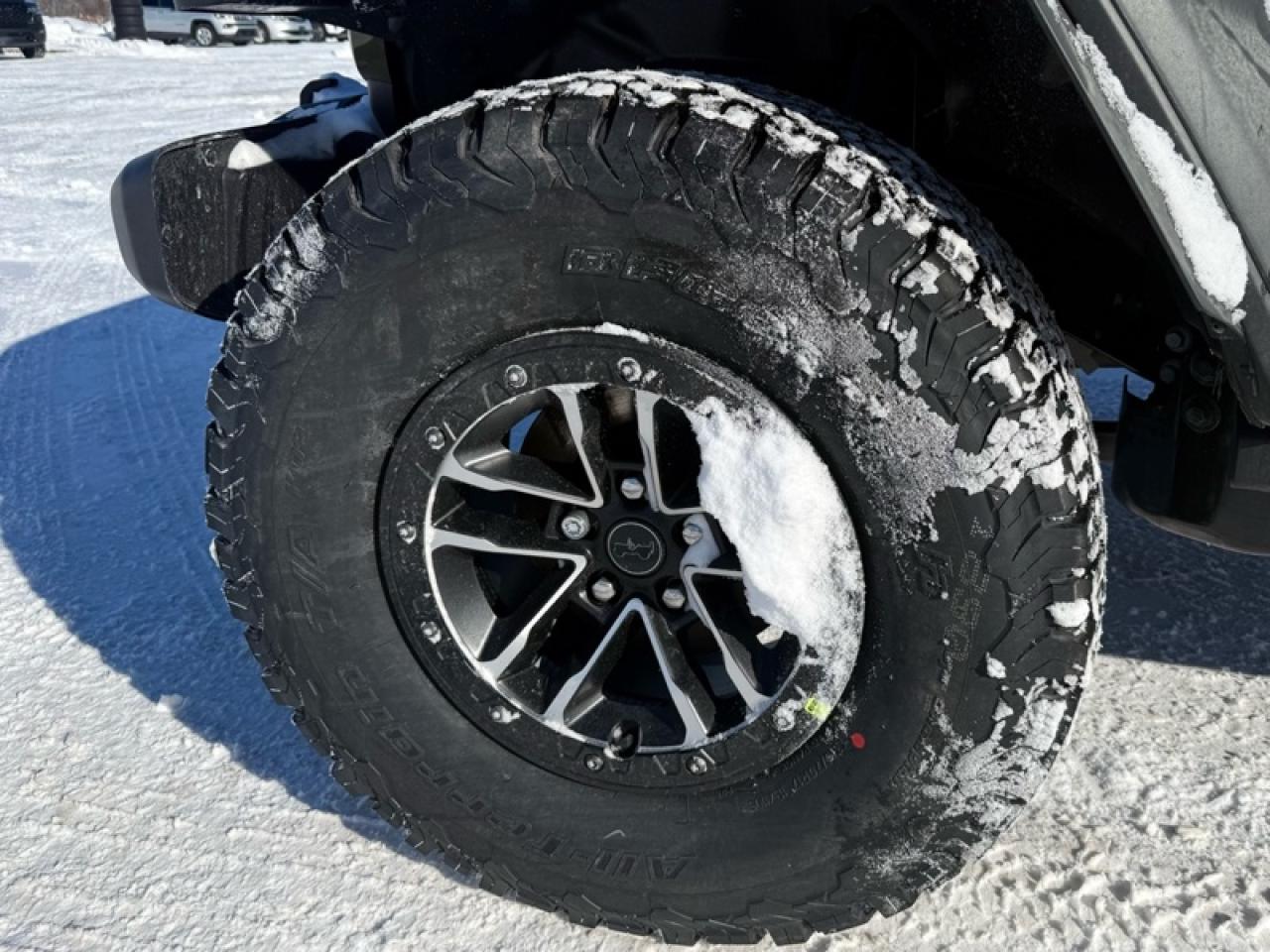 2026 Jeep Wrangler Willys Photo