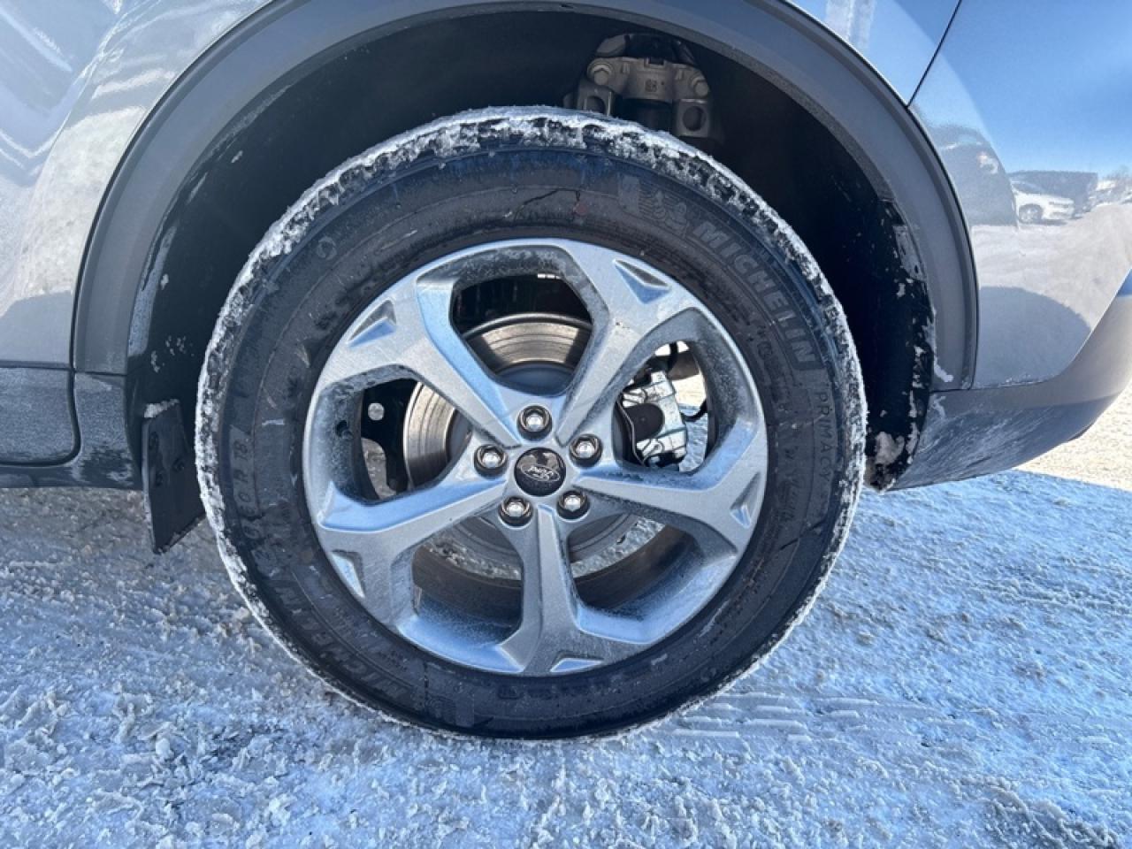 2025 Ford Escape ST-Line  - Low Mileage Photo