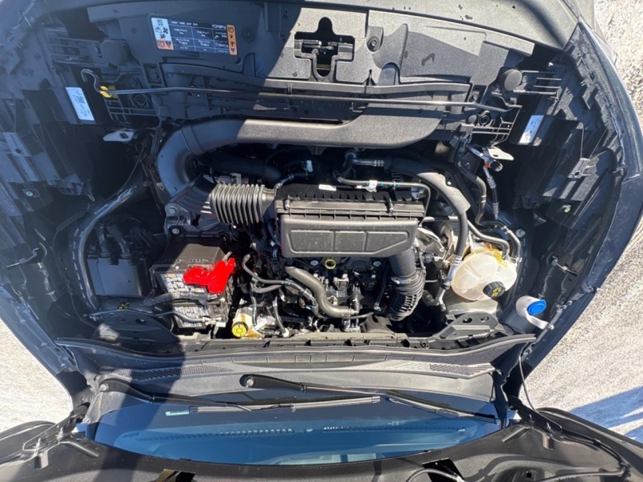 2025 Ford Escape ST-Line  - Low Mileage Photo