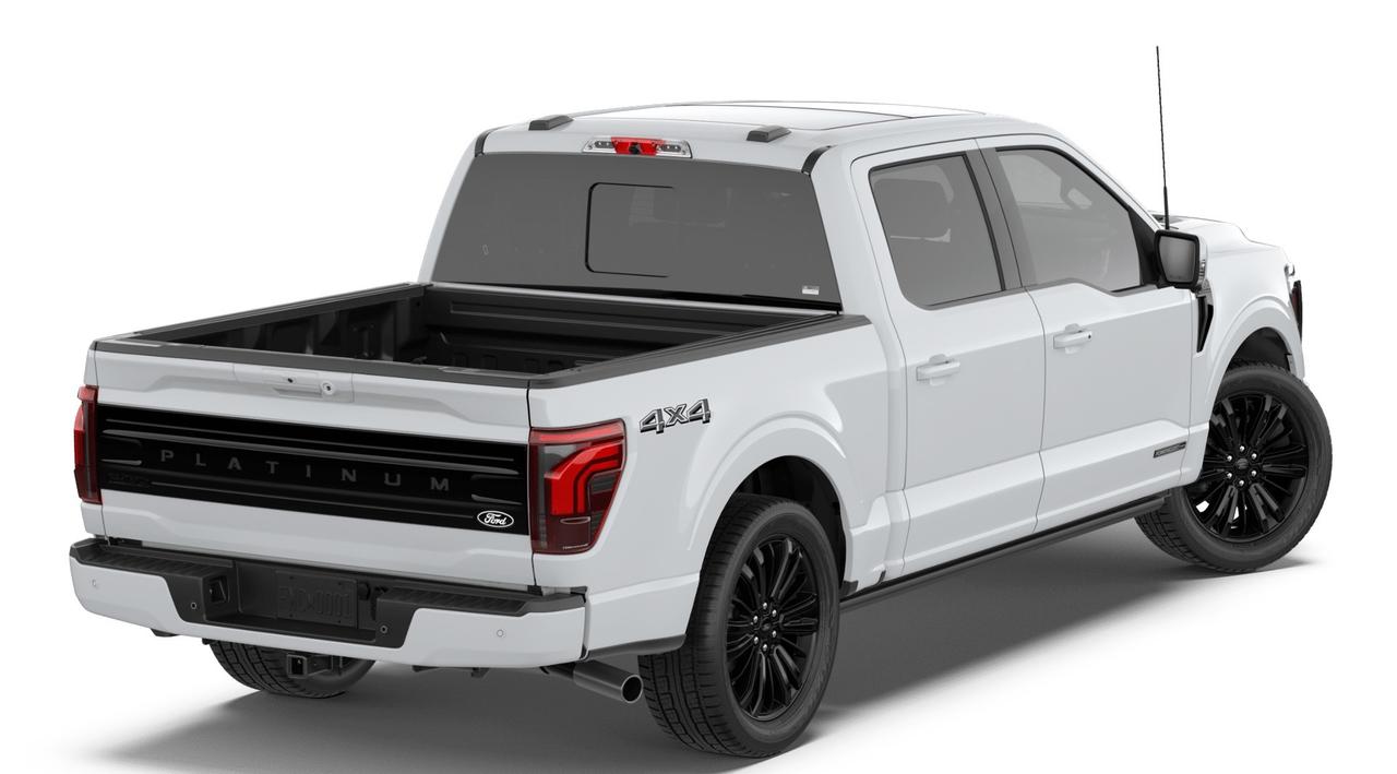 2026 Ford F-150 Platinum Photo2